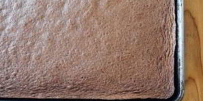 шоколадный рулет со взбитыми сливками