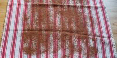 шоколадный рулет со взбитыми сливками