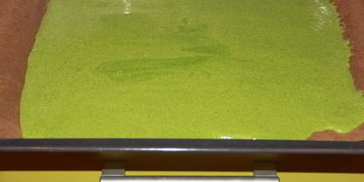 зеленый рулет с творожной начинкой