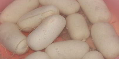 сосиски и сардельки детские со сливками