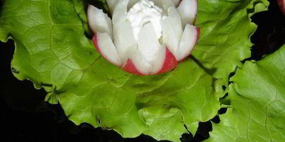 закуска кувшинки с творожным сыром и красной икрой